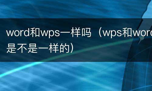 word和wps一样吗（wps和word是不是一样的）