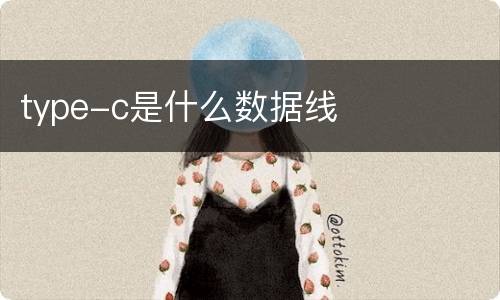 type-c是什么数据线
