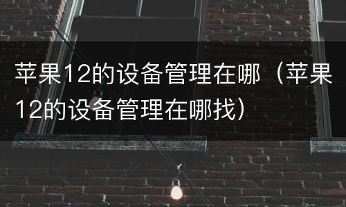 苹果12的设备管理在哪（苹果12的设备管理在哪找）