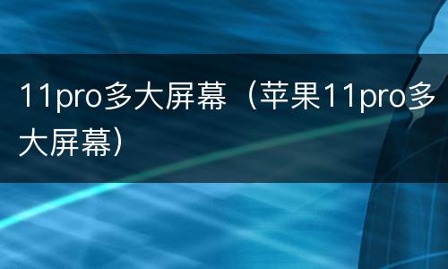 11pro多大屏幕（苹果11pro多大屏幕）