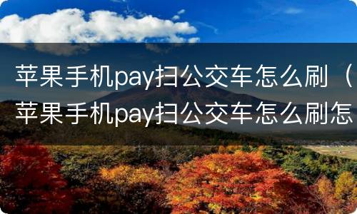 苹果手机pay扫公交车怎么刷（苹果手机pay扫公交车怎么刷怎么查询卡片的安全码）