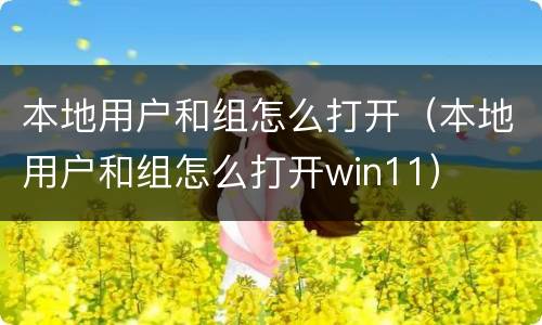 本地用户和组怎么打开（本地用户和组怎么打开win11）