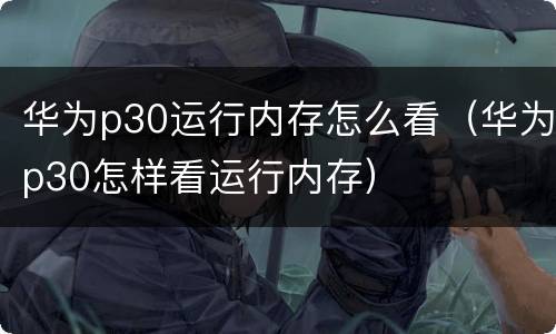 华为p30运行内存怎么看（华为p30怎样看运行内存）