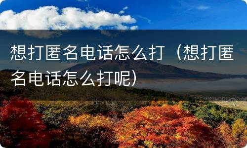想打匿名电话怎么打（想打匿名电话怎么打呢）