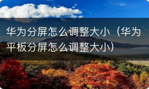 华为分屏怎么调整大小（华为平板分屏怎么调整大小）