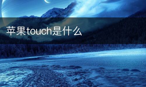 苹果touch是什么