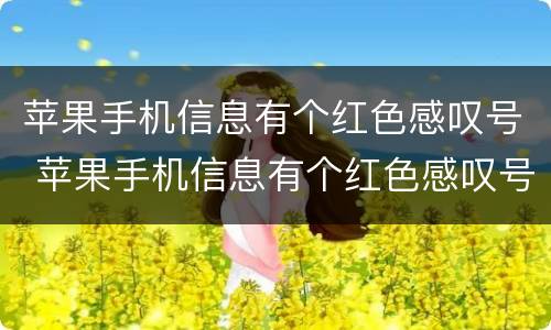 苹果手机信息有个红色感叹号 苹果手机信息有个红色感叹号怎么去掉