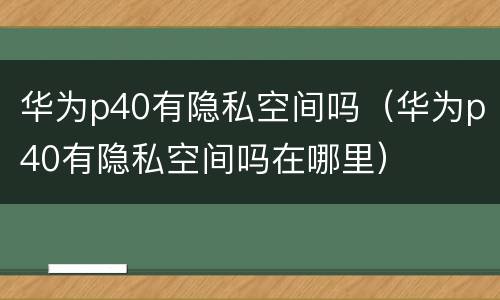 华为p40有隐私空间吗（华为p40有隐私空间吗在哪里）