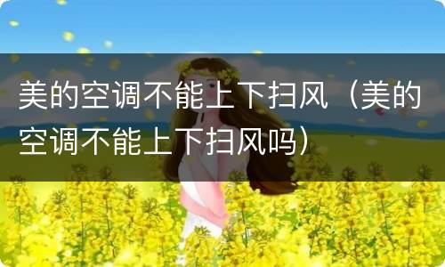 美的空调不能上下扫风（美的空调不能上下扫风吗）