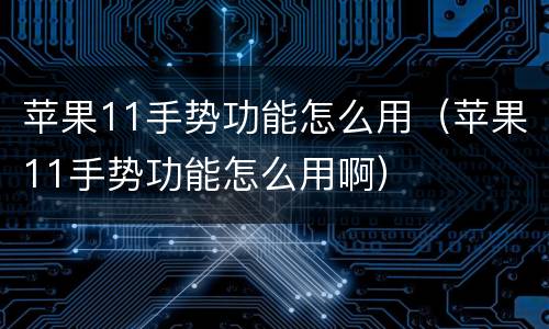 苹果11手势功能怎么用（苹果11手势功能怎么用啊）