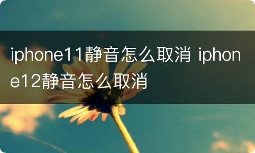 iphone11静音怎么取消 iphone12静音怎么取消