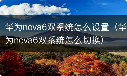 华为nova6双系统怎么设置（华为nova6双系统怎么切换）