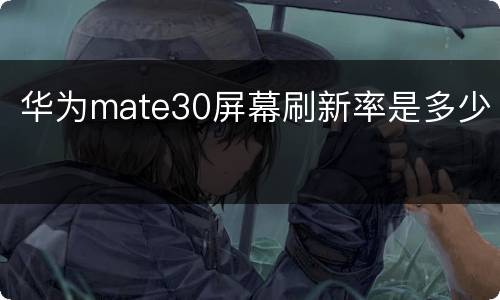 华为mate30屏幕刷新率是多少