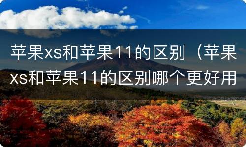 苹果xs和苹果11的区别（苹果xs和苹果11的区别哪个更好用）