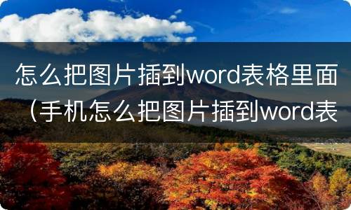 怎么把图片插到word表格里面（手机怎么把图片插到word表格里面）