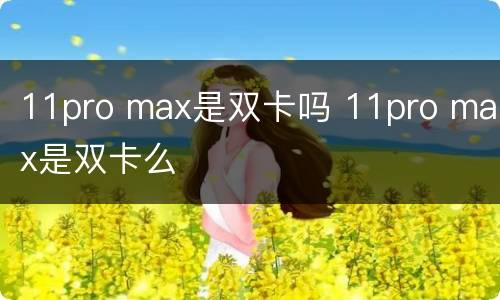 11pro max是双卡吗 11pro max是双卡么
