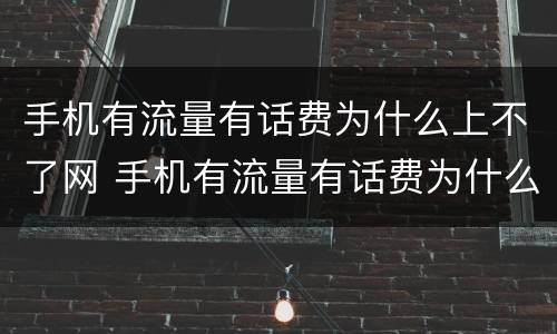 手机有流量有话费为什么上不了网 手机有流量有话费为什么上不了网了