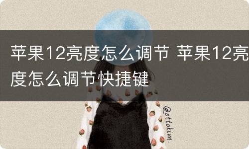 苹果12亮度怎么调节 苹果12亮度怎么调节快捷键