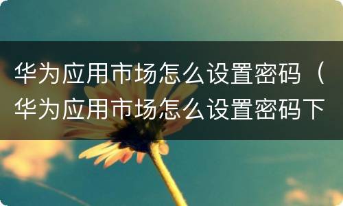 华为应用市场怎么设置密码（华为应用市场怎么设置密码下载）