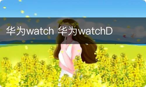 华为watch 华为watchD