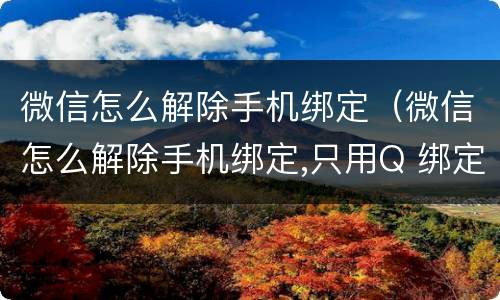 微信怎么解除手机绑定（微信怎么解除手机绑定,只用Q 绑定）