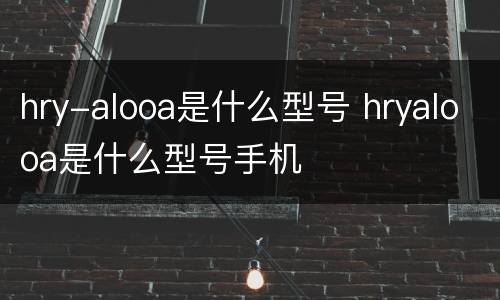 hry-alooa是什么型号 hryalooa是什么型号手机