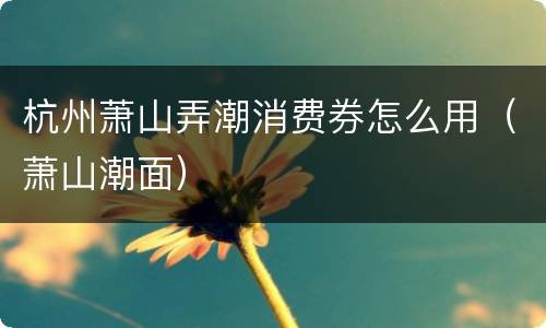杭州萧山弄潮消费券怎么用（萧山潮面）
