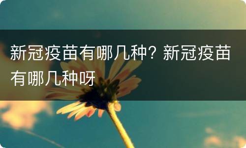 新冠疫苗有哪几种? 新冠疫苗有哪几种呀
