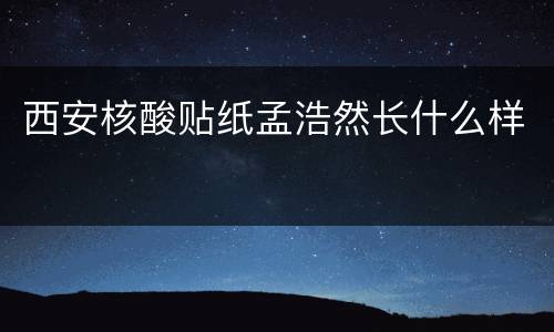 西安核酸贴纸孟浩然长什么样
