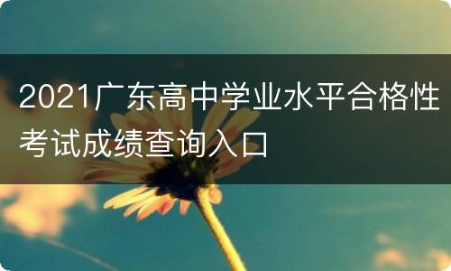 2021广东高中学业水平合格性考试成绩查询入口