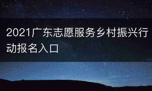 2021广东志愿服务乡村振兴行动报名入口