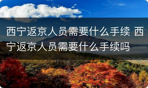西宁返京人员需要什么手续 西宁返京人员需要什么手续吗
