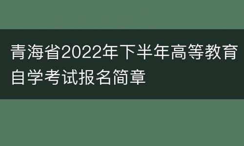 青海省2022年下半年高等教育自学考试报名简章