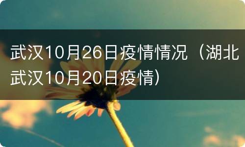 武汉10月26日疫情情况（湖北武汉10月20日疫情）