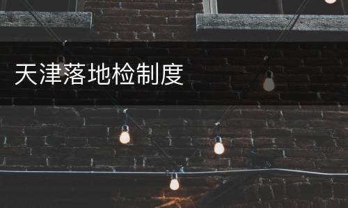 天津落地检制度