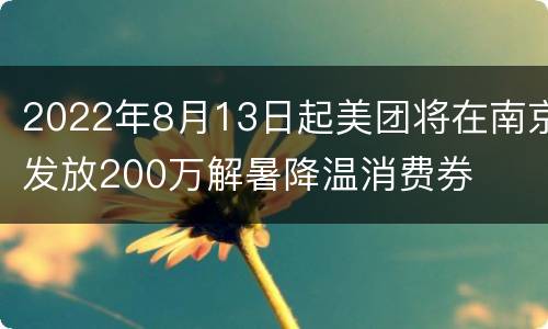 2022年8月13日起美团将在南京发放200万解暑降温消费券