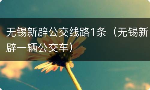 无锡新辟公交线路1条（无锡新辟一辆公交车）