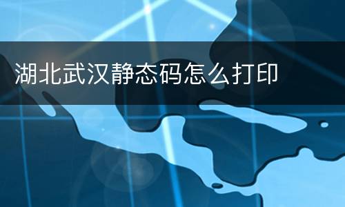 湖北武汉静态码怎么打印