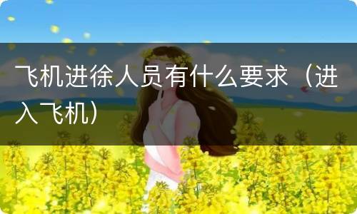 飞机进徐人员有什么要求（进入飞机）