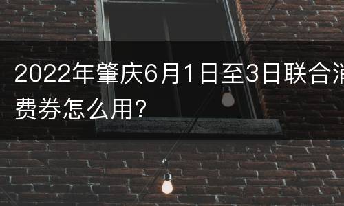 2022年肇庆6月1日至3日联合消费券怎么用?