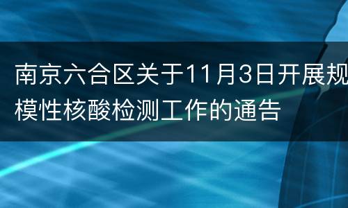 南京六合区关于11月3日开展规模性核酸检测工作的通告
