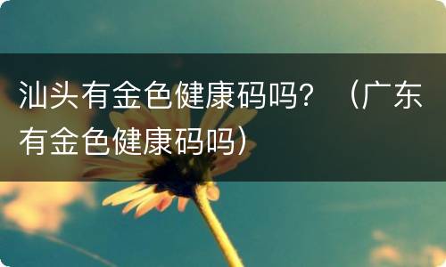 汕头有金色健康码吗？（广东有金色健康码吗）