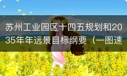 苏州工业园区十四五规划和2035年年远景目标纲要（一图速读）