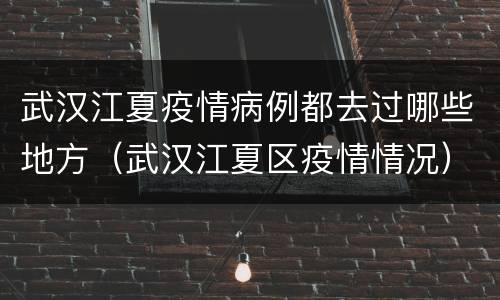 武汉江夏疫情病例都去过哪些地方（武汉江夏区疫情情况）