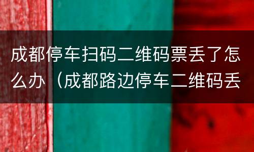 成都停车扫码二维码票丢了怎么办（成都路边停车二维码丢了怎么交钱）