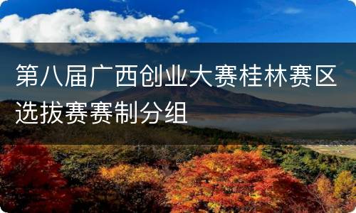 第八届广西创业大赛桂林赛区选拔赛赛制分组
