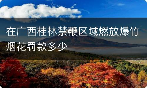 在广西桂林禁鞭区域燃放爆竹烟花罚款多少