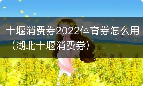 十堰消费券2022体育券怎么用（湖北十堰消费券）