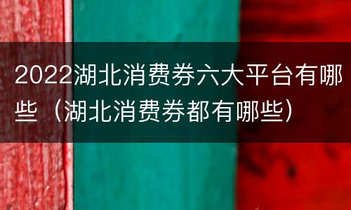 2022湖北消费券六大平台有哪些（湖北消费券都有哪些）