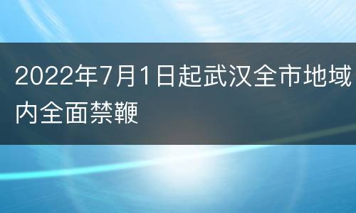 2022年7月1日起武汉全市地域内全面禁鞭